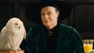 Professor McGonagall in Harry Potter and the Sorcerer's Stone | Image via: Warner Bros. Pictures